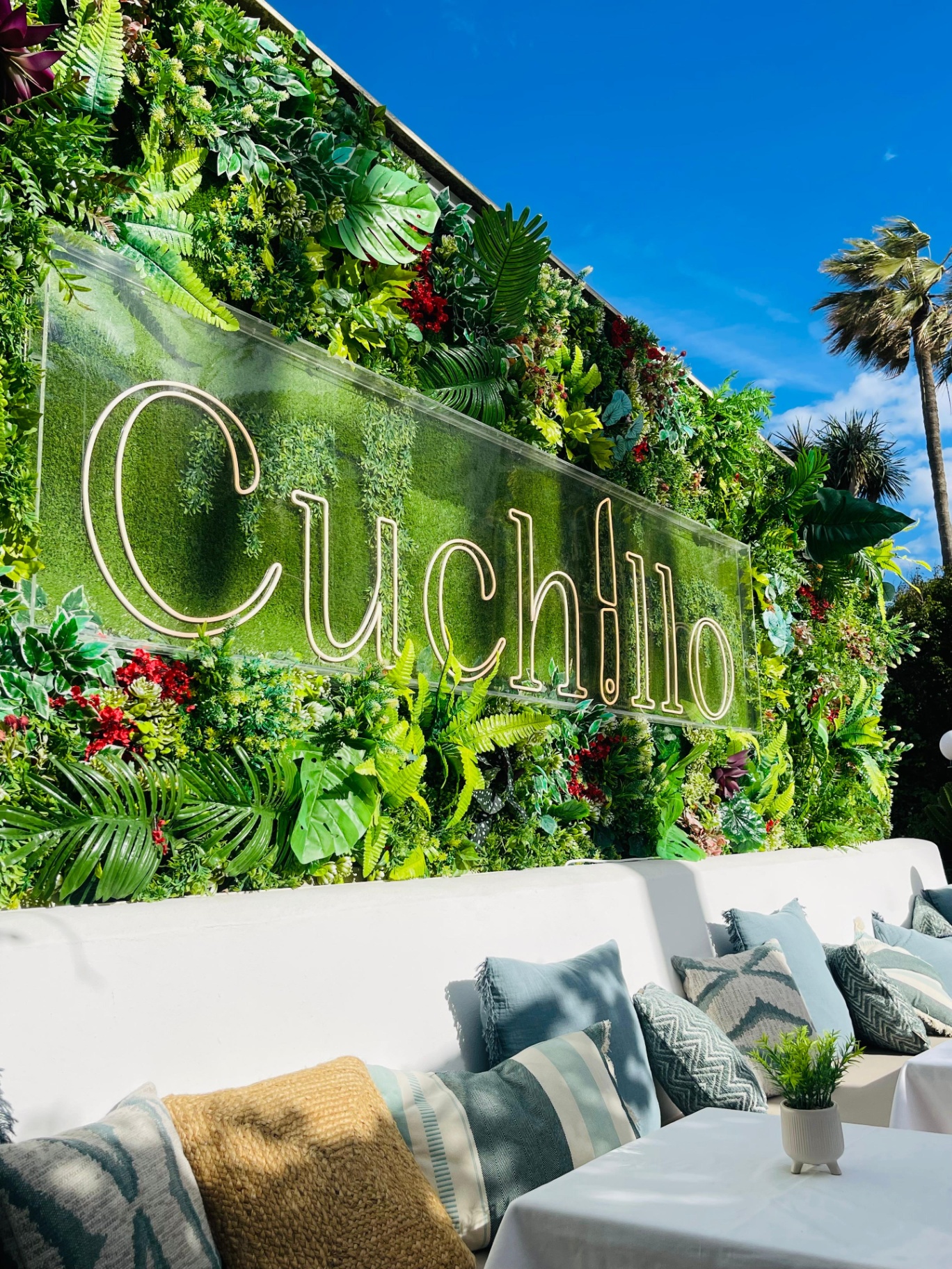 Cuchillo — Cabopino, Marbella